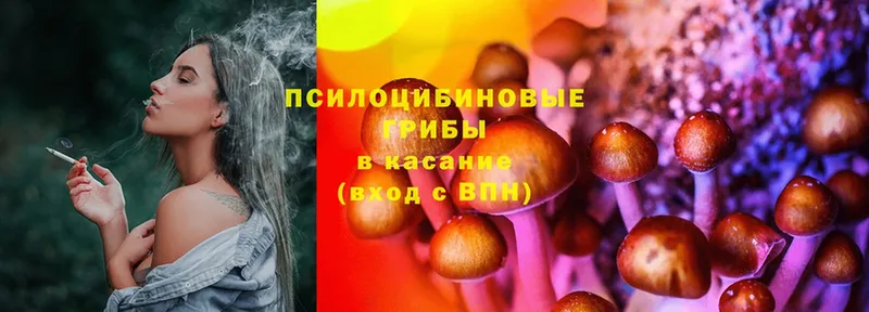 Псилоцибиновые грибы Magic Shrooms  hydra вход  Тарко-Сале 